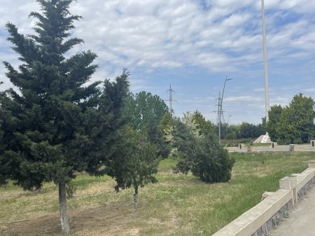 Abadlaşan Hacıqabul – Yaşıllığın yeni siması