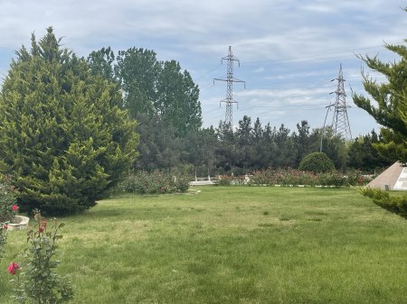 Abadlaşan Hacıqabul – Yaşıllığın yeni siması