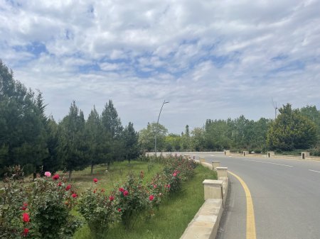 Abadlaşan Hacıqabul – Yaşıllığın yeni siması