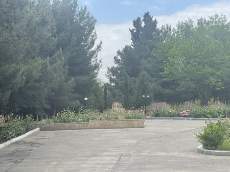 Abadlaşan Hacıqabul – Yaşıllığın yeni siması