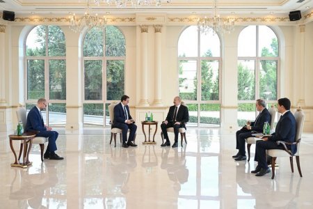 İlham Əliyev Avstriyanın Azərbaycana yeni təyin olunmuş səfirini qəbul edib - Foto