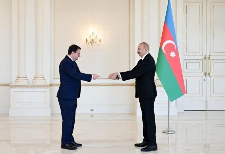 İlham Əliyev Avstriyanın Azərbaycana yeni təyin olunmuş səfirini qəbul edib - Foto